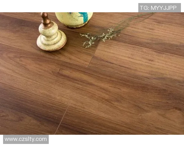 热议CSGOJDG的比赛经验变革与战术创新的深度探讨与分析